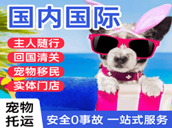 唐山三女河航空快运国际宠物托运 【国